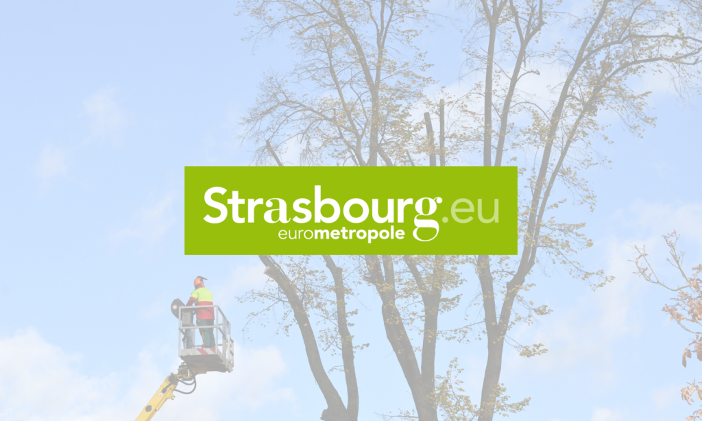FIF - Eurométropole de Strasbourg 